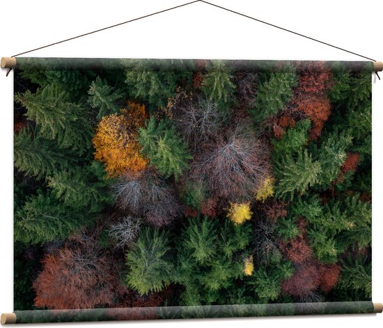 Textielposter - Bovenaanzicht van Coniferen Bomen in Verschillende Kleuren - 90x60 cm Foto op Textiel