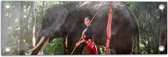 Tuinposter – Aziatische Vrouw bij Olifant in het Bos - 60x20 cm Foto op Tuinposter (wanddecoratie voor buiten en binnen)
