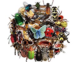 Insecten Stickers 50 Stuks | Scrapbook Stickers | Vlinder | Spin | Bij | Wesp | Vlieg | Laptop Stickers | Kinderen | Volwassenen | Stickervellen | Plakstickers | Koffer | Bullet Journal | Planner Stickers | Dieren | Watervaste Stickers