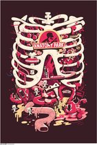 Affiche Rick et Morty -M- Anatomy Park Multicolore