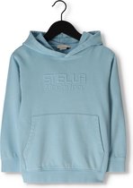 Stella McCartney Ts4r50 Truien & Vesten Jongens - Sweater - Hoodie - Vest- Lichtblauw - Maat 152