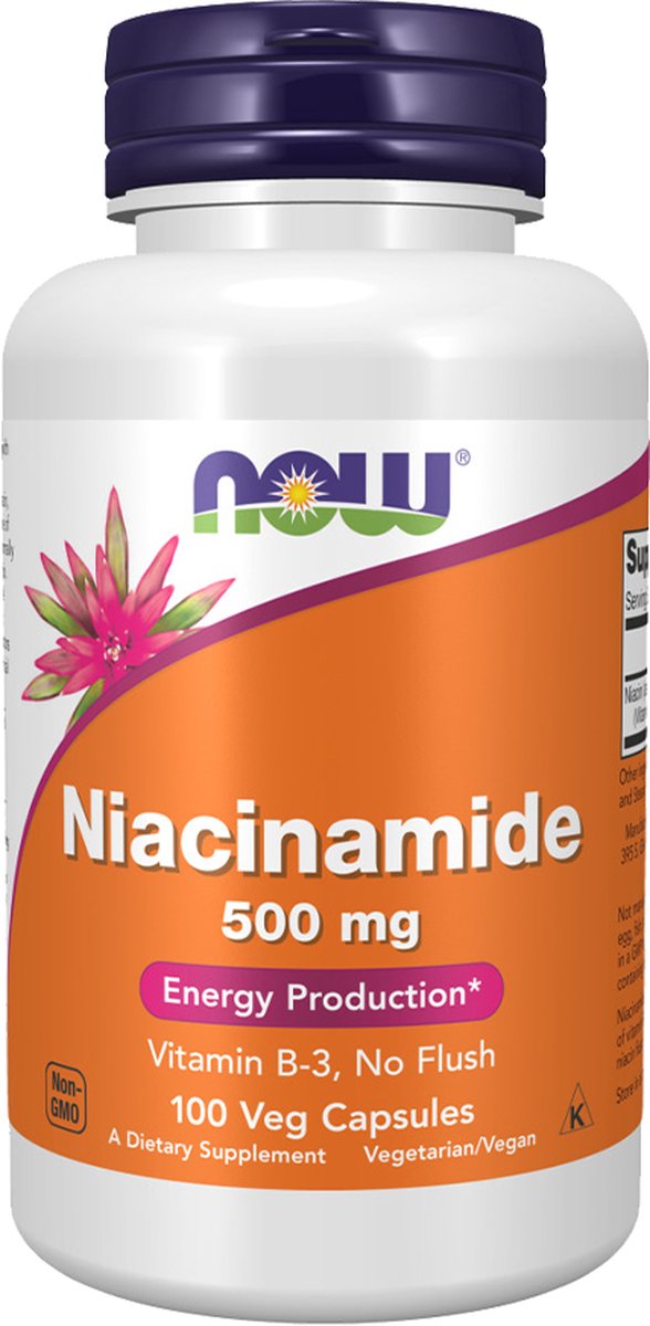 Goedkoopste NOW Foods - Niacinamide 500mg - 100 capsules