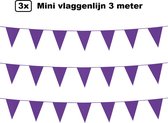 3x Mini vlaggenlijn paars 3 meter - 10x 15cm - Huwelijk thema feest festival vlaglijn party