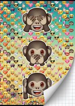 EMOJI GIRLS SCHRIFT A4 RUIT 1X2,99 BTS 16-17