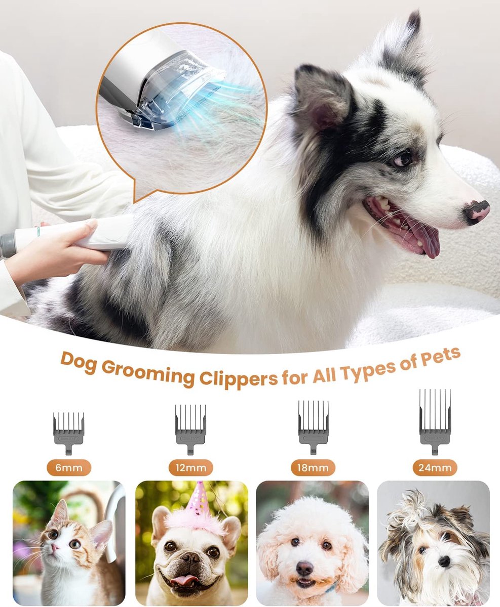 Kit de toilettage pour chien et aspirateur de poils d'animaux à faible  bruit 
