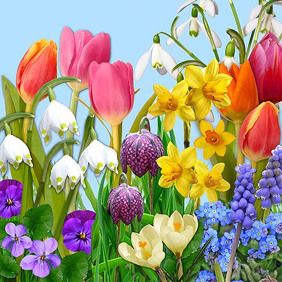Papstar servetten Pasen - set 40x - lente bloemen - papier - 33 x 33 cm