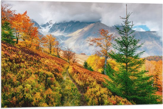 Vlag - Bomen in Verschillende Kleuren Hoog in de Bergen - 90x60 cm Foto op Polyester Vlag