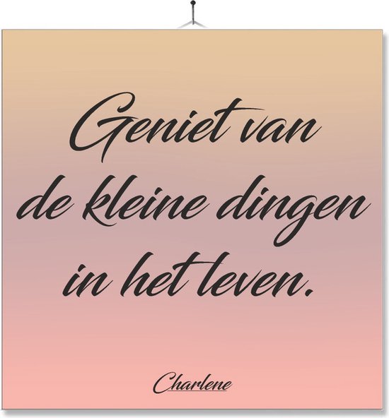 Tegel Met Opdruk Spreuk Motivatie Geniet van de kleine dingen bol