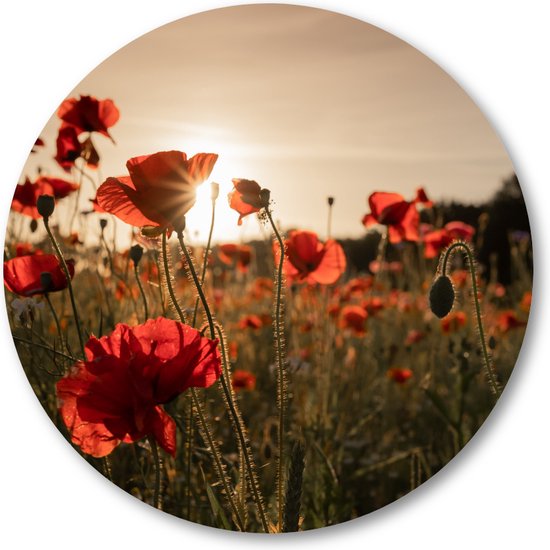 Poppy bloemen - Wandcirkel Dibond 40cm