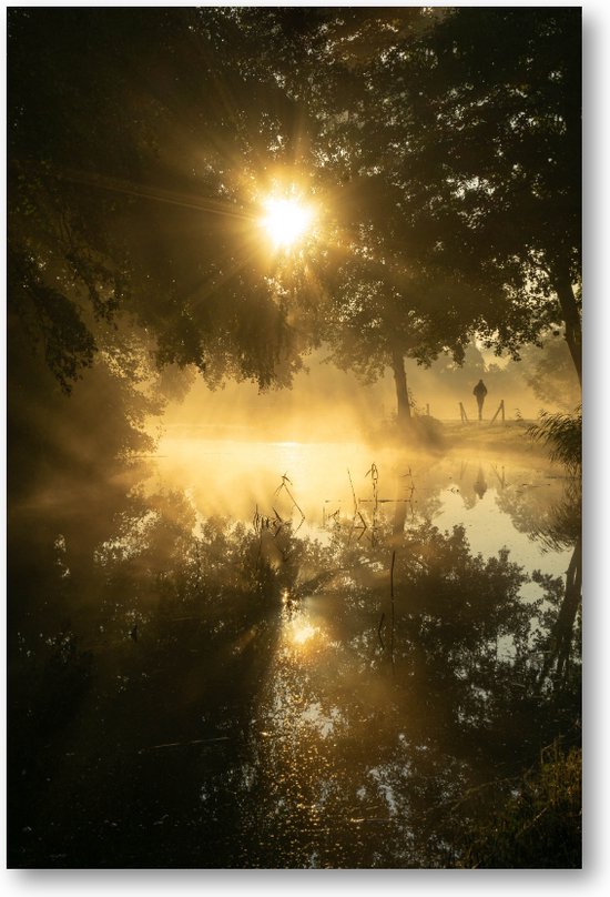 2019 - Weerspiegeling sunbeams in Haren - Fotoposter 40x60