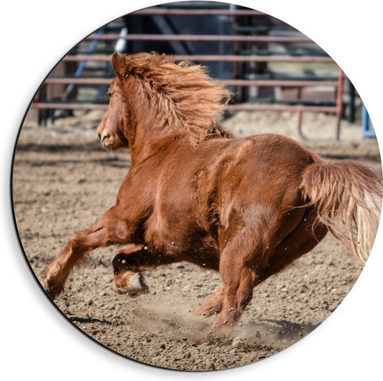 Dibond Muurcirkel - Bruine Pony Rennend door het Zand - 40x40 cm Foto op Aluminium Muurcirkel (met ophangsysteem)