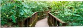 Tuinposter – Houten Bruggetje door de Planten in het Bos - 150x50 cm Foto op Tuinposter (wanddecoratie voor buiten en binnen)