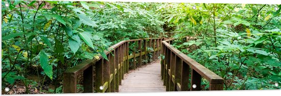 Tuinposter – Houten Bruggetje door de Planten in het Bos - 150x50 cm Foto op Tuinposter (wanddecoratie voor buiten en binnen)