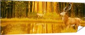 Gards Tuinposter Twee Herten in het Bos bij het Water - 210x70 cm - Tuindoek - Tuindecoratie - Wanddecoratie buiten - Tuinschilderij