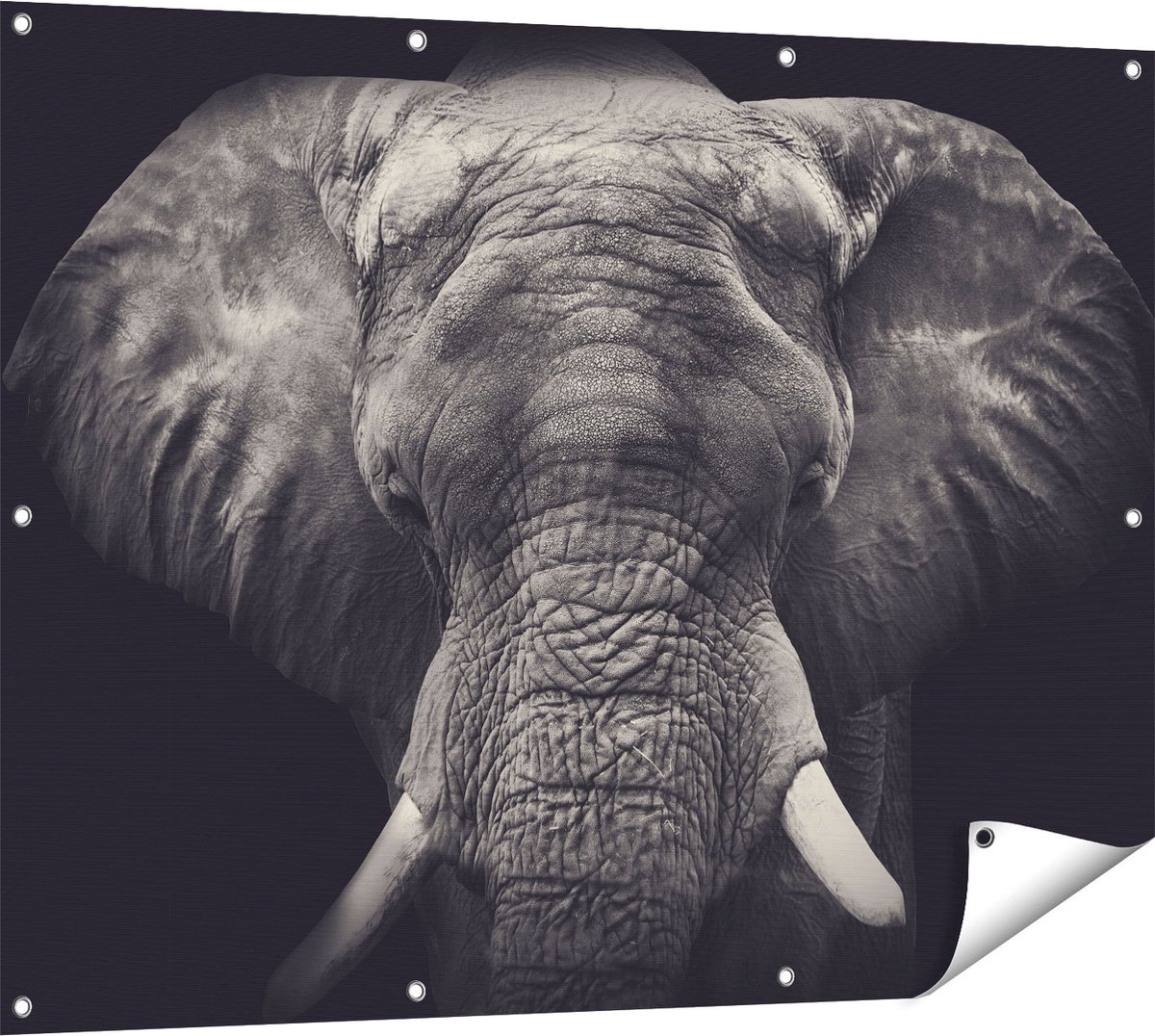 Gards Tuinposter Olifantenkop - Olifant - Zwart Wit - 120x90 cm - Tuindoek - Tuindecoratie - Wanddecoratie buiten - Tuinschilderij Multikleur