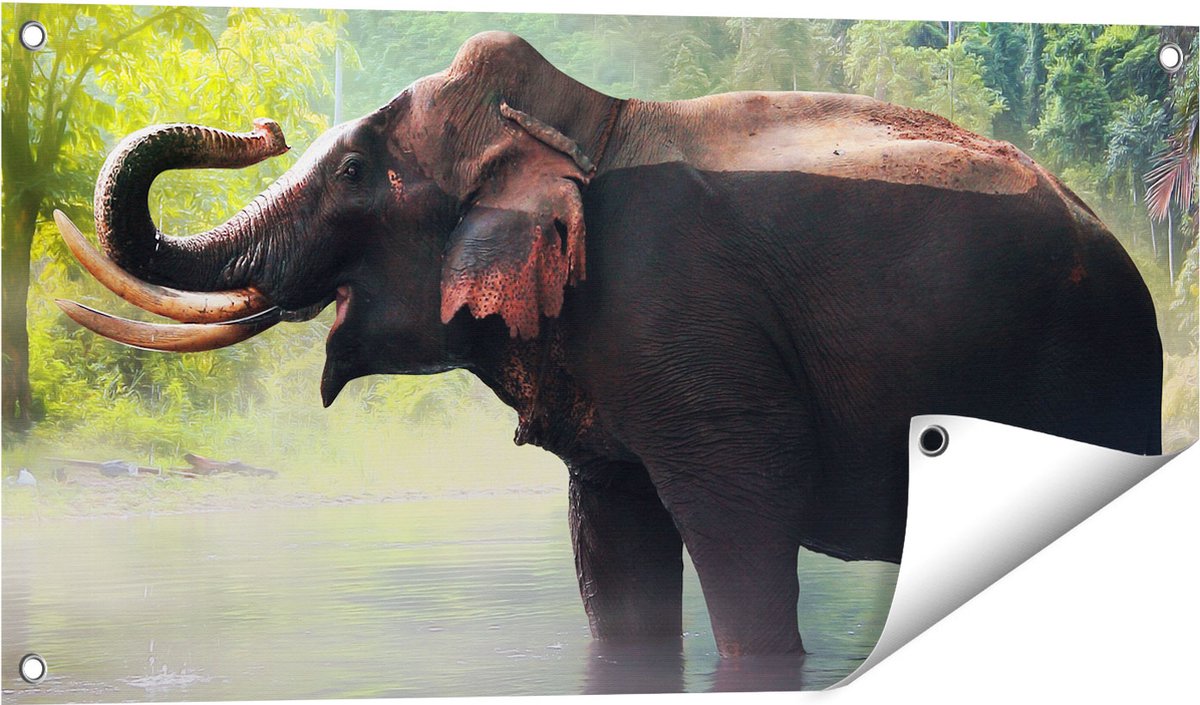 Gards Tuinposter Olifant in het Water - 80x40 cm - Tuindoek - Tuindecoratie - Wanddecoratie buiten - Tuinschilderij Multikleur