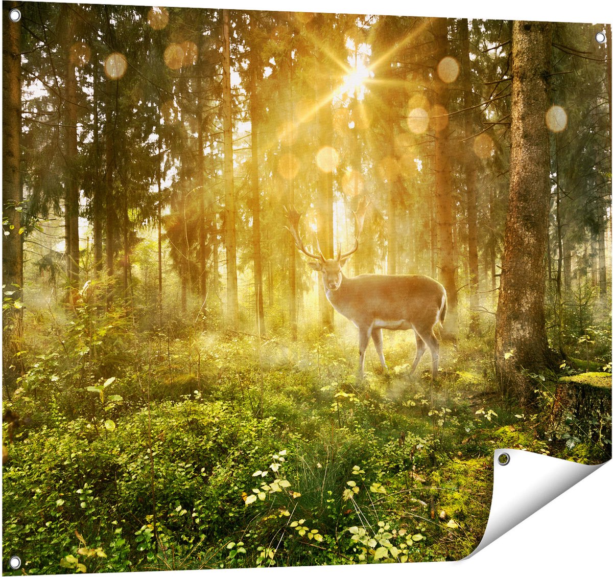 Gards Tuinposter Hert in Bos met Zon - 100x80 cm - Tuindoek - Tuindecoratie - Wanddecoratie buiten - Tuinschilderij Multikleur