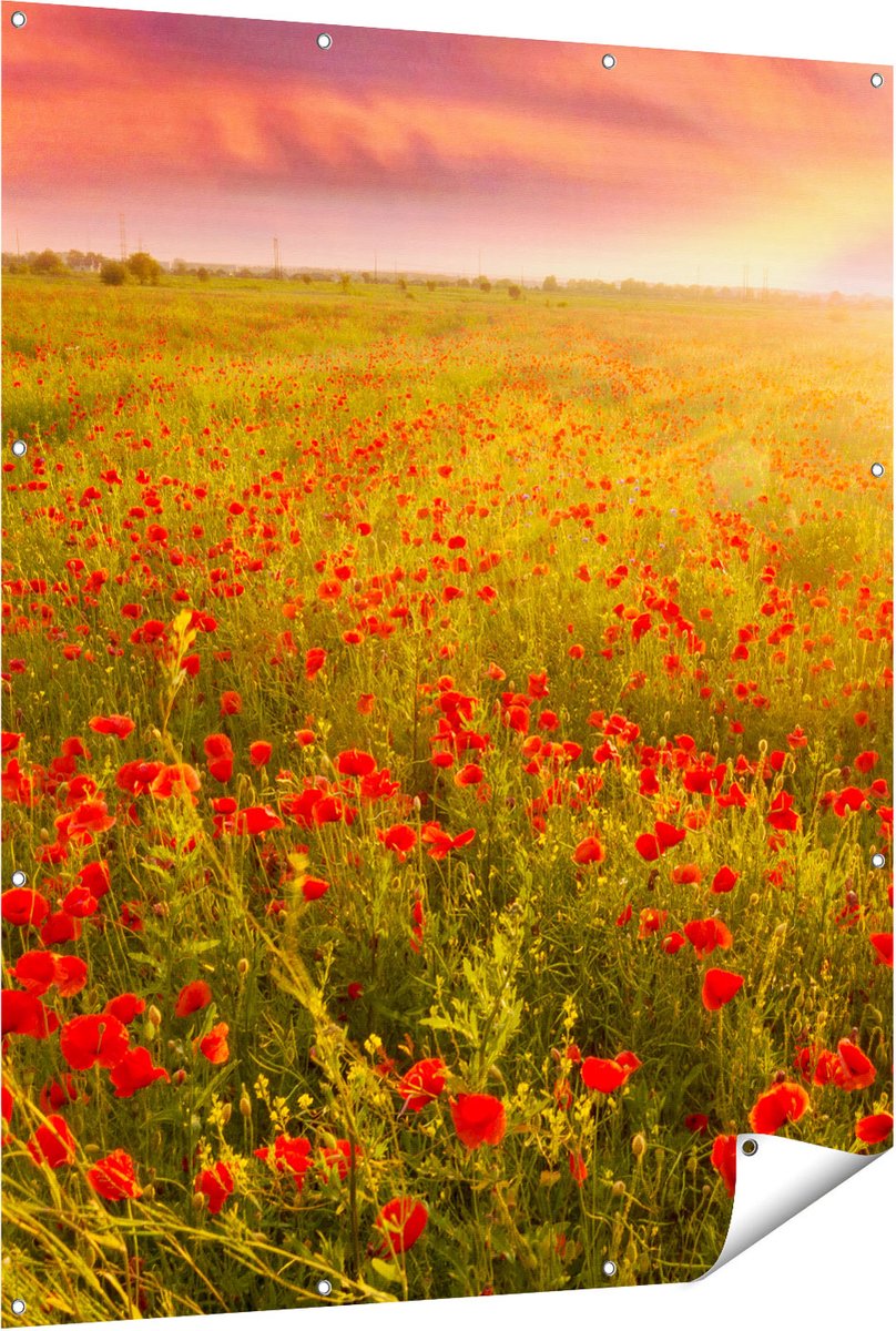 Gards Tuinposter Rode Klaproos Bloemenveld - Zonsondergang - 120x150 cm - Tuindoek - Tuindecoratie - Wanddecoratie buiten - Tuinschilderij Multikleur