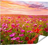 Gards Tuinposter Kleurrijke Kosmos Bloemenveld - 100x80 cm - Tuindoek - Tuindecoratie - Wanddecoratie buiten - Tuinschilderij