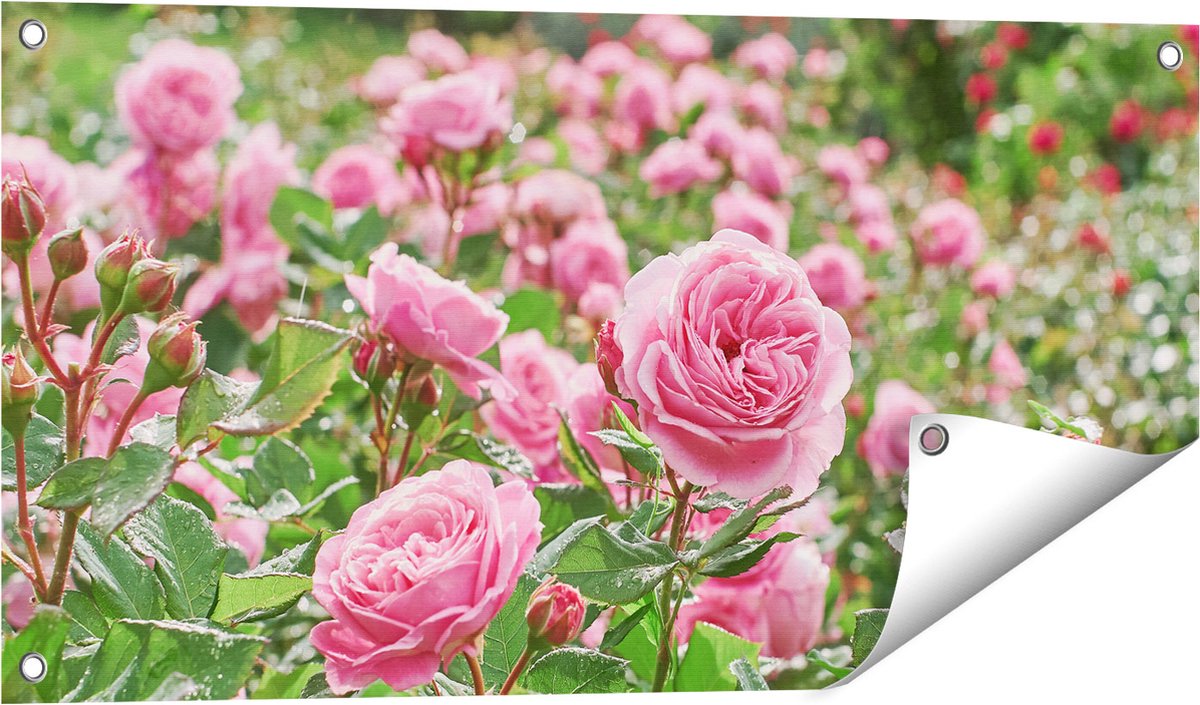 Gards Tuinposter Roze Rozen Bloemenveld - 80x40 cm - Tuindoek - Tuindecoratie - Wanddecoratie buiten - Tuinschilderij Multikleur