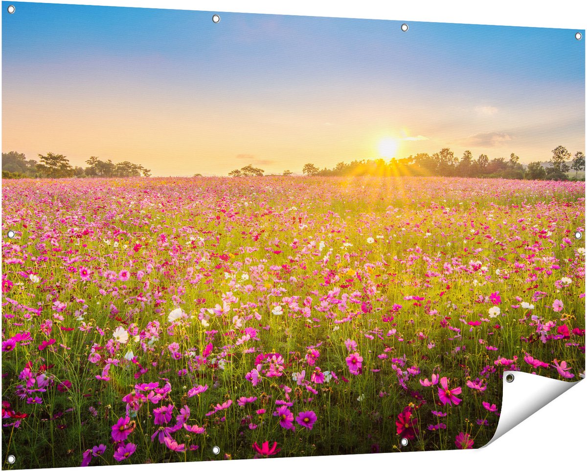 Gards Tuinposter Bloemenveld met Roze Kosmos - 150x100 cm - Tuindoek - Tuindecoratie - Wanddecoratie buiten - Tuinschilderij Multikleur