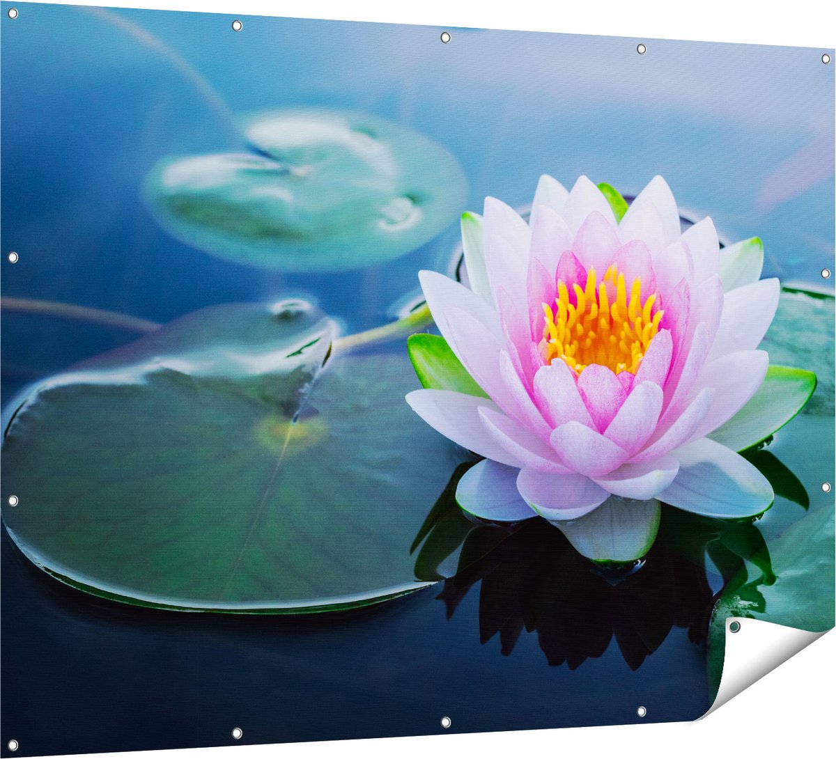 Gards Tuinposter Roze Lotusbloem met Waterlelies - 160x120 cm - Tuindoek - Tuindecoratie - Wanddecoratie buiten - Tuinschilderij Multikleur