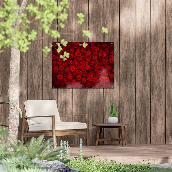 Gards Tuinposter Rode Rozen Achtergrond - 80x60 cm - Tuindoek - Tuindecoratie - Wanddecoratie buiten - Tuinschilderij