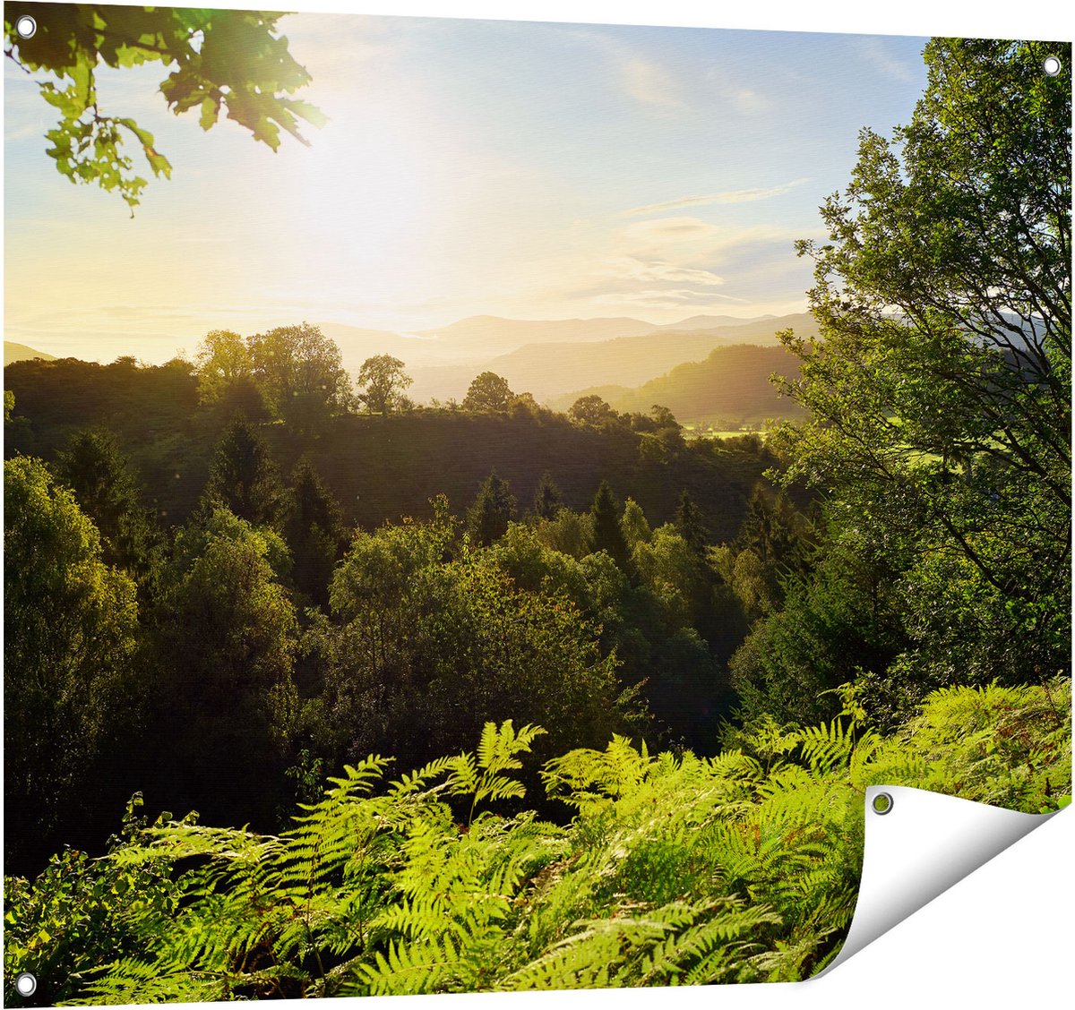 Gards Tuinposter Zonsondergang vanuit een Bos - 100x80 cm - Tuindoek - Tuindecoratie - Wanddecoratie buiten - Tuinschilderij Multikleur