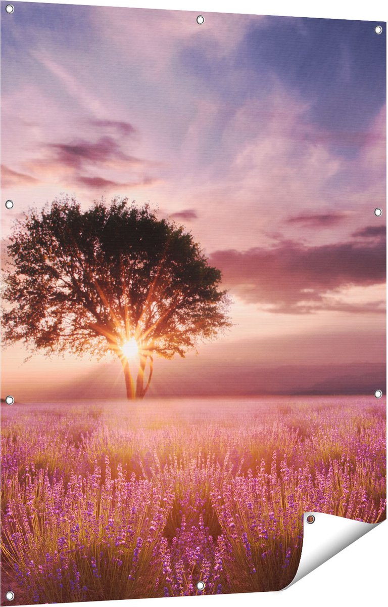 Gards Tuinposter Bloemenveld met Lavendel bij Zonsondergang - 90x120 cm - Tuindoek - Tuindecoratie - Wanddecoratie buiten - Tuinschilderij Multikleur