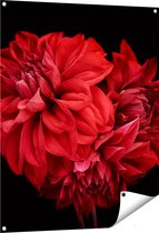 Gards Tuinposter Rode Dahlia Bloemen - 80x100 cm - Tuindoek - Tuindecoratie - Wanddecoratie buiten - Tuinschilderij