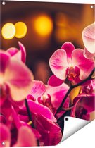Gards Tuinposter Roze Orchidee Bloemen - 60x80 cm - Tuindoek - Tuindecoratie - Wanddecoratie buiten - Tuinschilderij