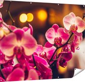 Gards Tuinposter Roze Orchidee Bloemen - 150x120 cm - Tuindoek - Tuindecoratie - Wanddecoratie buiten - Tuinschilderij