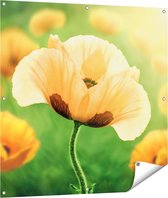 Gards Tuinposter Oranje Klaproos Bloemen - 100x100 cm - Tuindoek - Tuindecoratie - Wanddecoratie buiten - Tuinschilderij