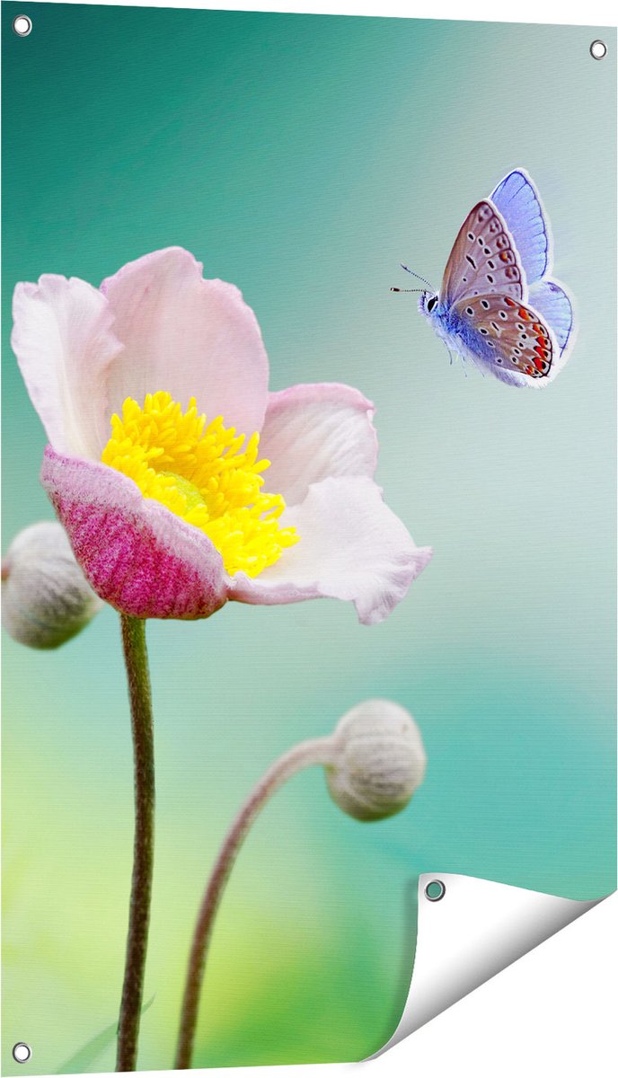 Gards Tuinposter Roze Anemoon Bloem met een Blauwe Vlinder - 60x90 cm - Tuindoek - Tuindecoratie - Wanddecoratie buiten - Tuinschilderij Multikleur