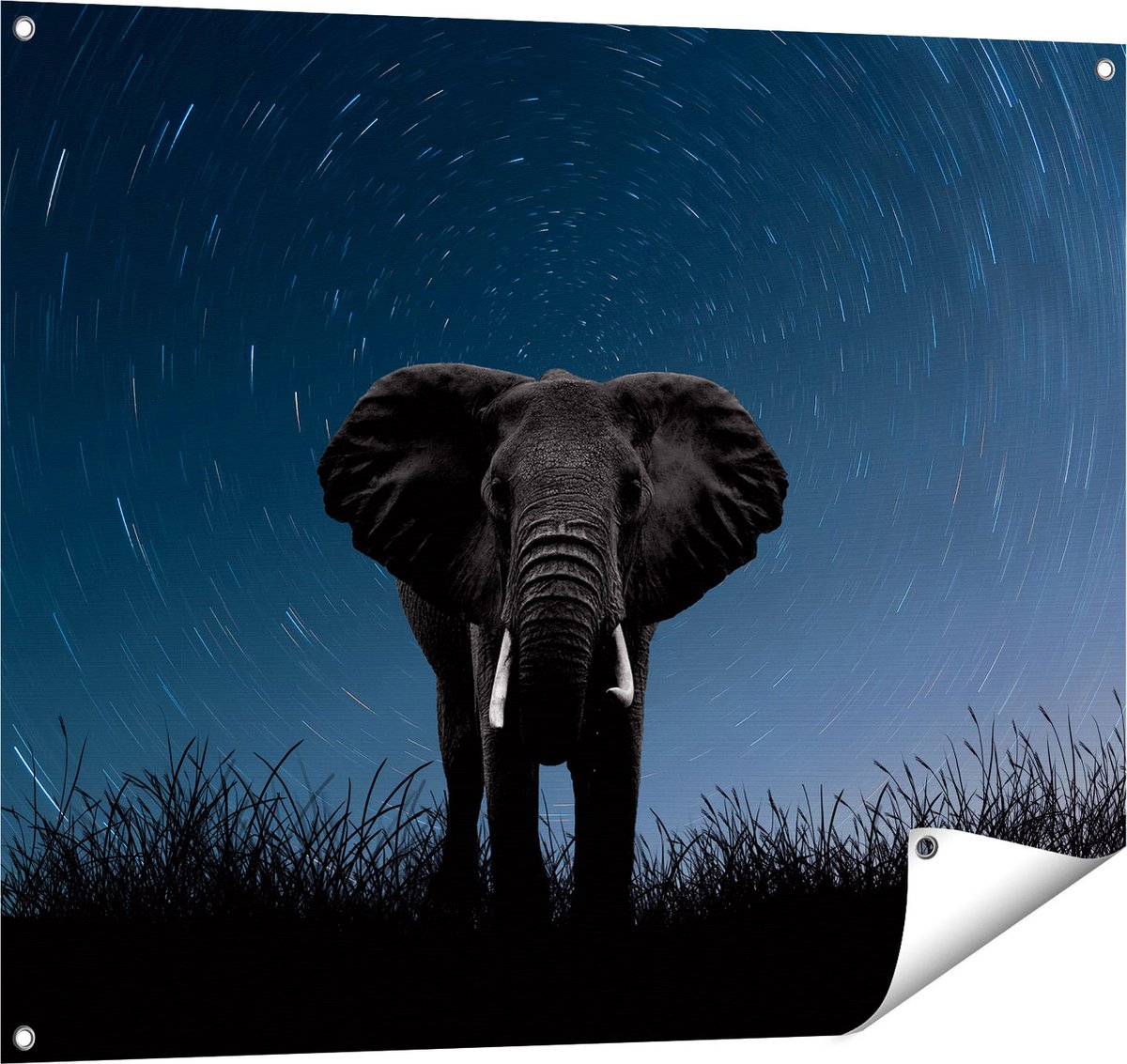Gards Tuinposter Olifant Omringd met Sterren - 100x80 cm - Tuindoek - Tuindecoratie - Wanddecoratie buiten - Tuinschilderij Multikleur