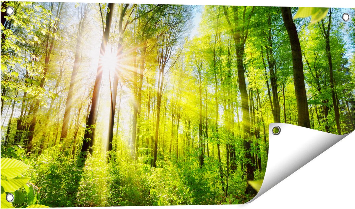 Gards Tuinposter Weg Omringd met Bomen in het Bos - 80x40 cm - Tuindoek - Tuindecoratie - Wanddecoratie buiten - Tuinschilderij Multikleur