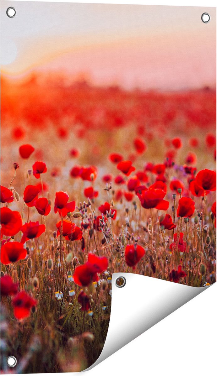 Gards Tuinposter Rode Klaprozen Bloemenveld Zonsondergang - 40x60 cm - Tuindoek - Tuindecoratie - Wanddecoratie buiten - Tuinschilderij Multikleur