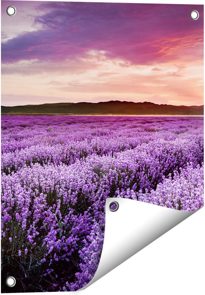Gards Tuinposter Bloemenveld met Paarse Lavendel - Bloemen - 40x50 cm - Tuindoek - Tuindecoratie - Wanddecoratie buiten - Tuinschilderij Multikleur