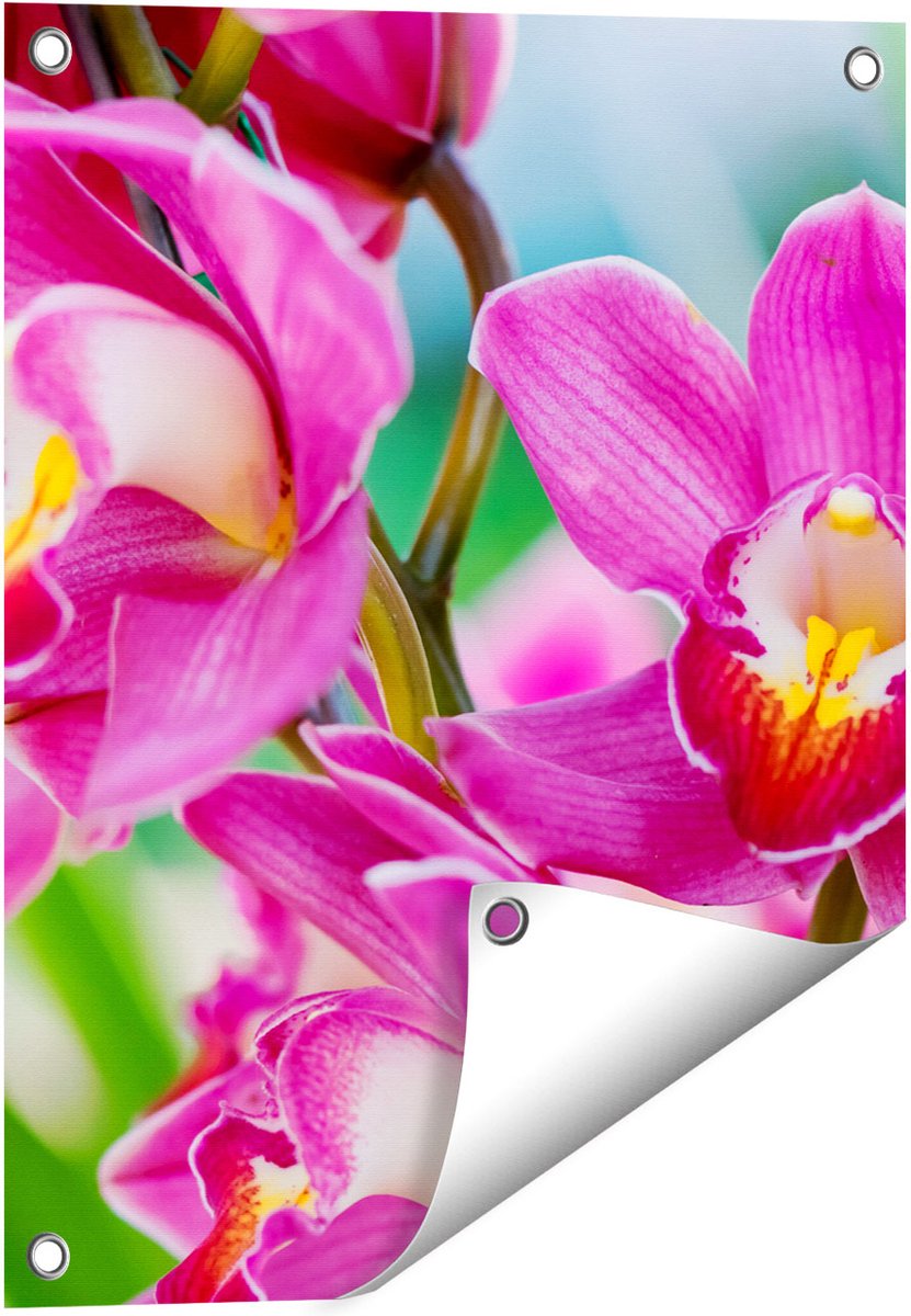 Gards Tuinposter Licht Paarse Orchidee Bloemen - 40x50 cm - Tuindoek - Tuindecoratie - Wanddecoratie buiten - Tuinschilderij Multikleur