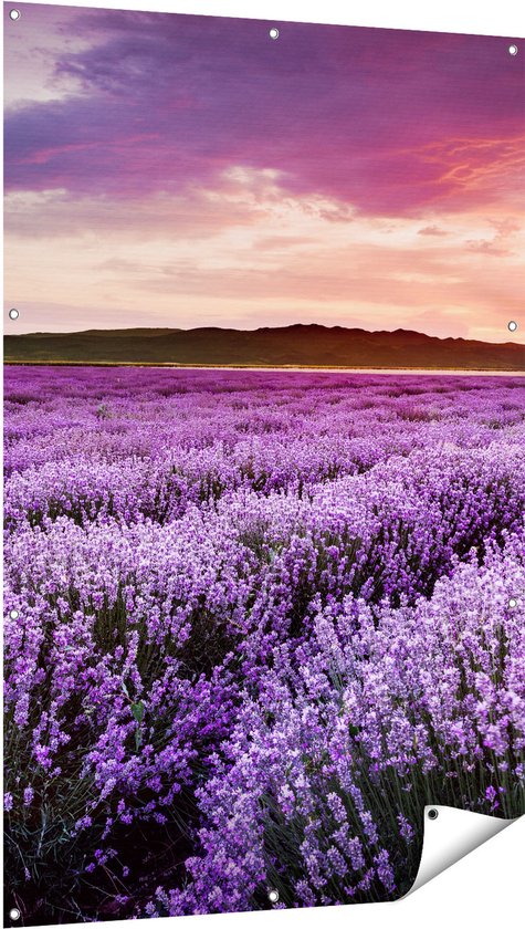 Gards Poster de jardin Champ de fleurs avec Lavande violette - Fleurs - 100x150 cm - Toile de jardin - Décoration de jardin - Décoration murale extérieure - Peinture de jardin