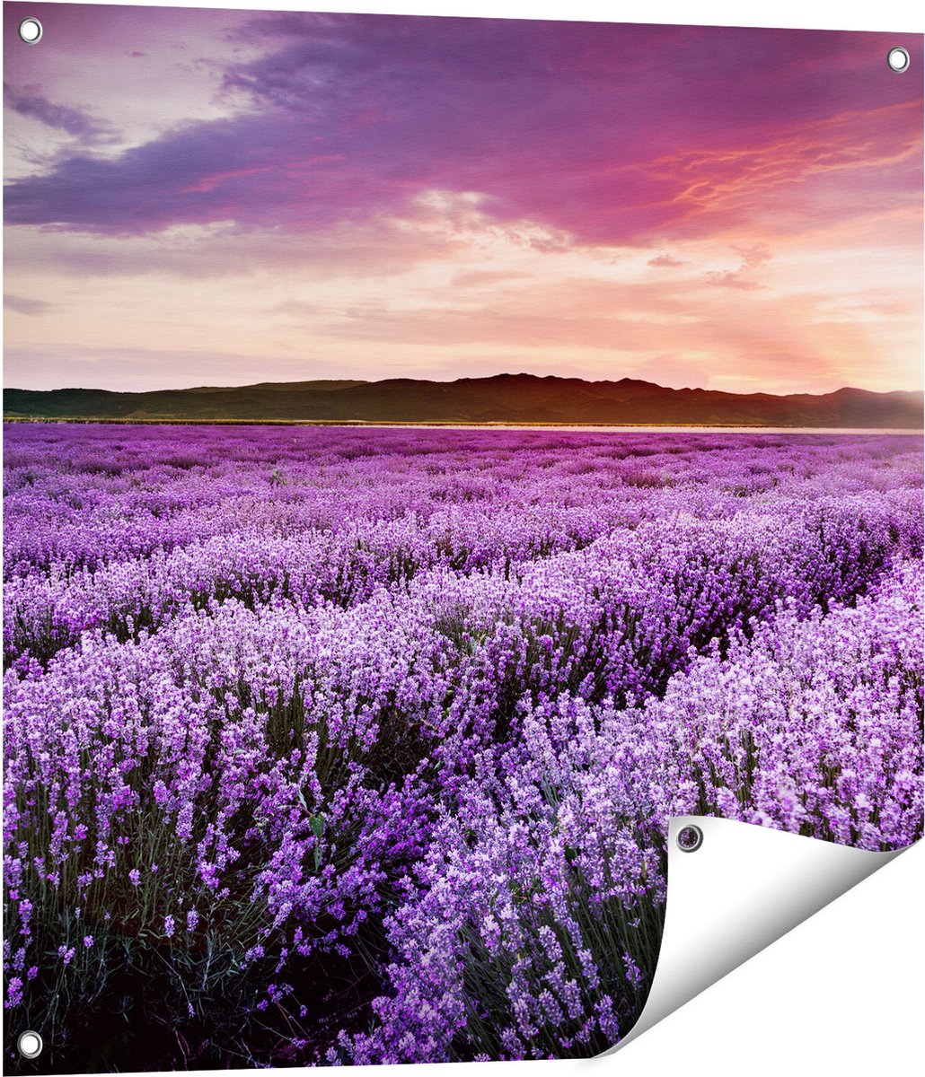 Gards Tuinposter Bloemenveld met Paarse Lavendel - Bloemen - 70x70 cm - Tuindoek - Tuindecoratie - Wanddecoratie buiten - Tuinschilderij Multikleur