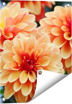 Gards Tuinposter Oranje Dahlia Bloemen - 40x50 cm - Tuindoek - Tuindecoratie - Wanddecoratie buiten - Tuinschilderij