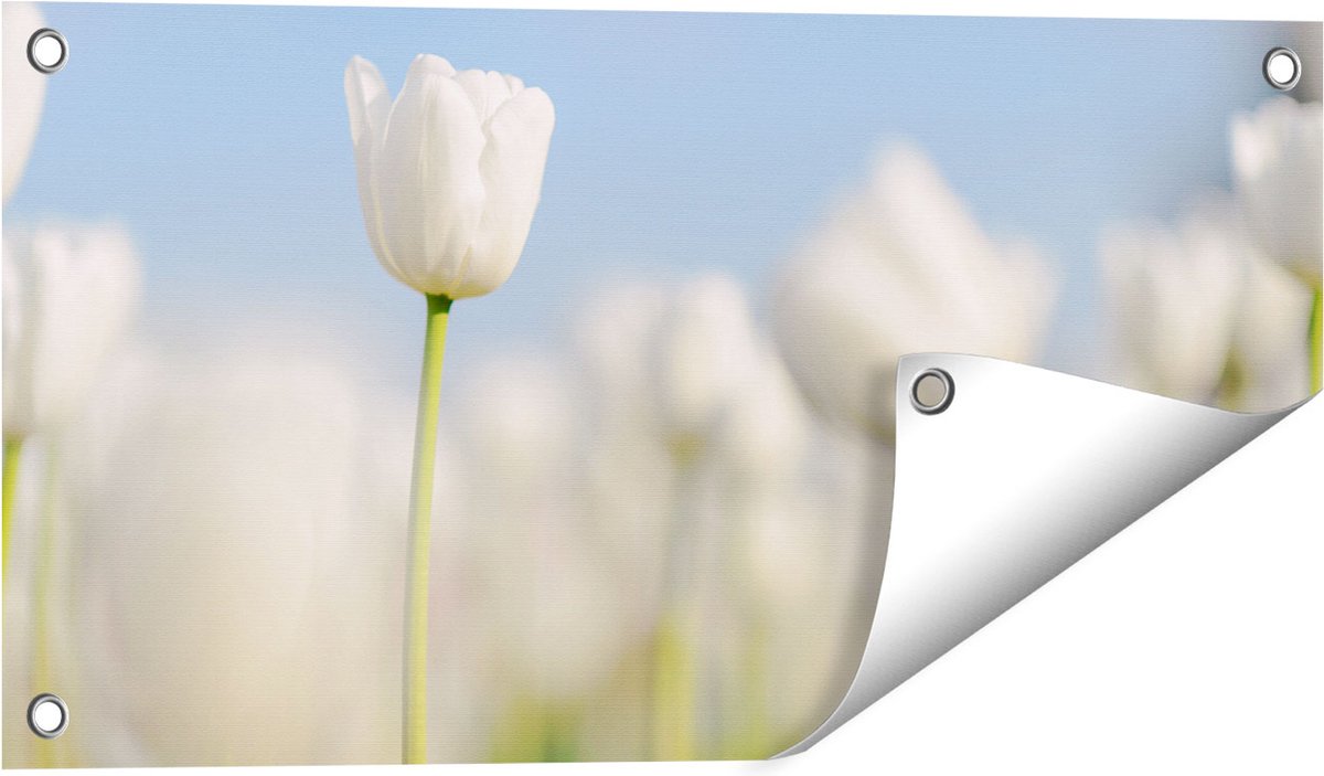 Gards Tuinposter Witte Tulpen - Bloemen - 60x30 cm - Tuindoek - Tuindecoratie - Wanddecoratie buiten - Tuinschilderij Multikleur