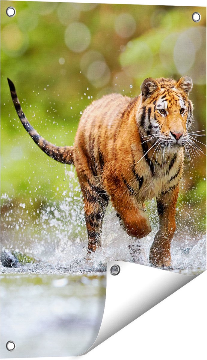 Gards Tuinposter Tijger Loopt in het Water - 40x60 cm - Tuindoek - Tuindecoratie - Wanddecoratie buiten - Tuinschilderij Multikleur