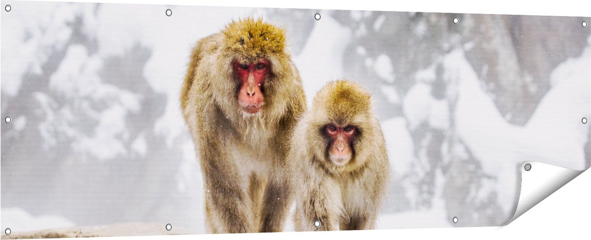 Gards Tuinposter Twee Aapjes in de Sneeuw op Rotsen - 180x60 cm - Tuindoek - Tuindecoratie - Wanddecoratie buiten - Tuinschilderij Multikleur