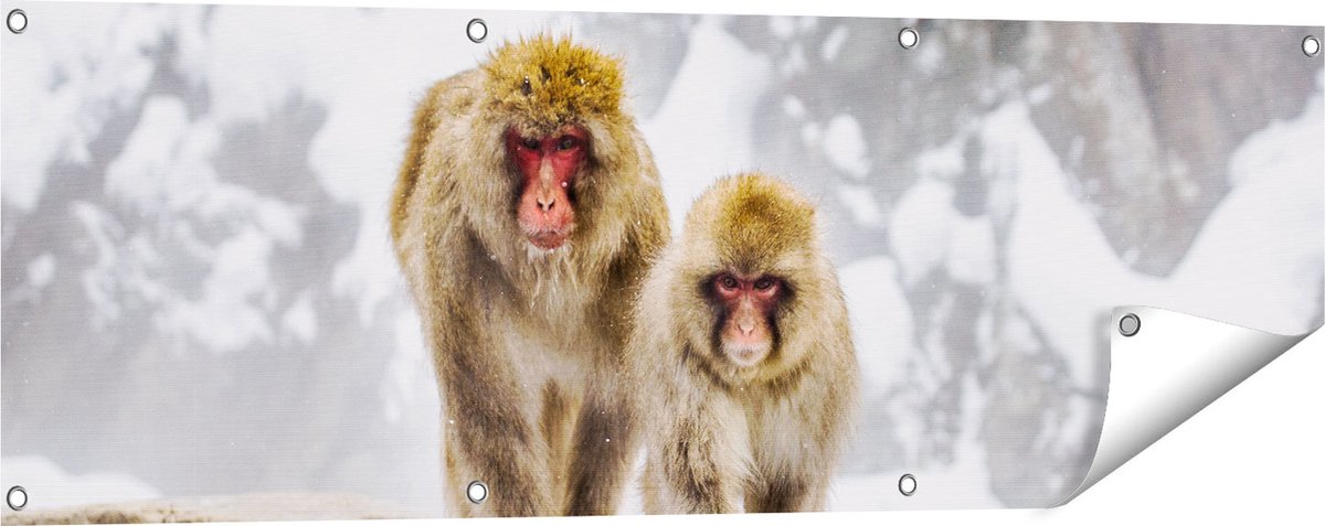 Gards Tuinposter Twee Aapjes in de Sneeuw op Rotsen - 120x40 cm - Tuindoek - Tuindecoratie - Wanddecoratie buiten - Tuinschilderij Multikleur
