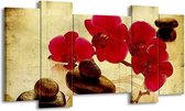 GroepArt - Schilderij - Orchidee - Rood, Bruin, Geel - 120x65 5Luik - Foto Op Canvas - GroepArt 6000+ Schilderijen 0p Canvas Art Collectie - Wanddecoratie