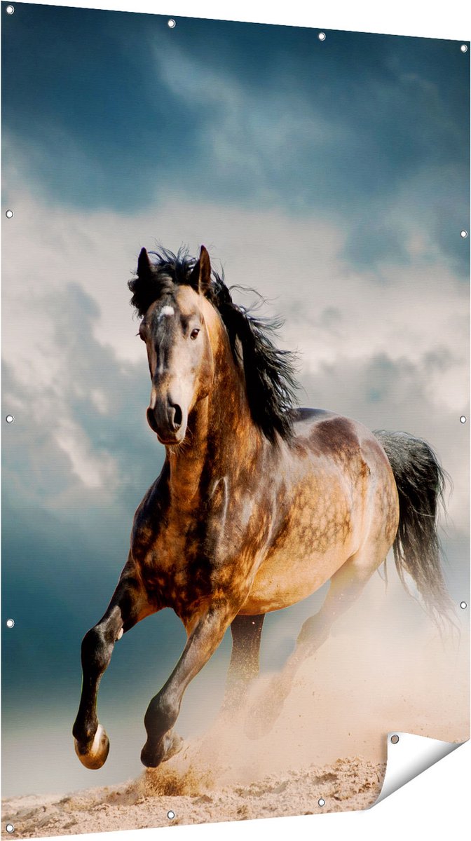 Gards Tuinposter Wilde Paard in het Zand - 120x180 cm - Tuindoek - Tuindecoratie - Wanddecoratie buiten - Tuinschilderij Multikleur