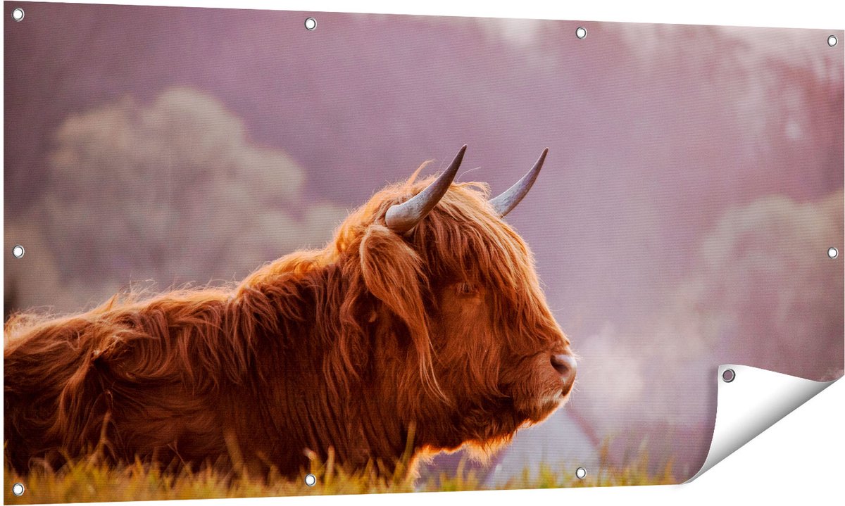 Gards Tuinposter Schotse Hooglander Koe Ligt in het Gras - 140x70 cm - Tuindoek - Tuindecoratie - Wanddecoratie buiten - Tuinschilderij Multikleur