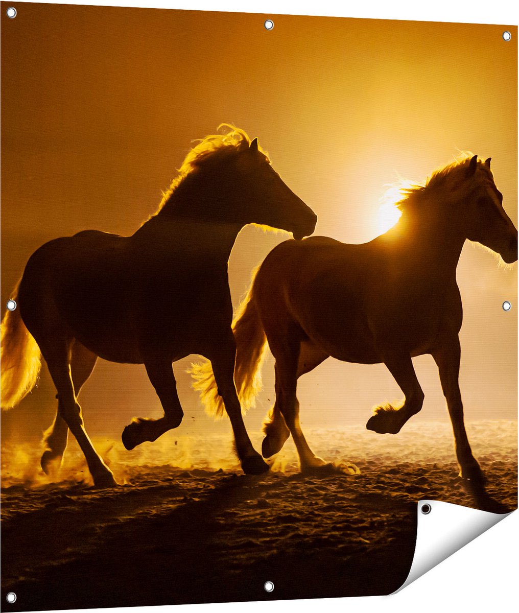 Gards Tuinposter Silhouet van Twee Paarden - 100x100 cm - Tuindoek - Tuindecoratie - Wanddecoratie buiten - Tuinschilderij Multikleur